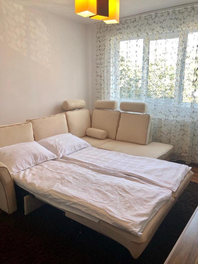 Little Cute Homey Apartman Satu Mare Exterior photo