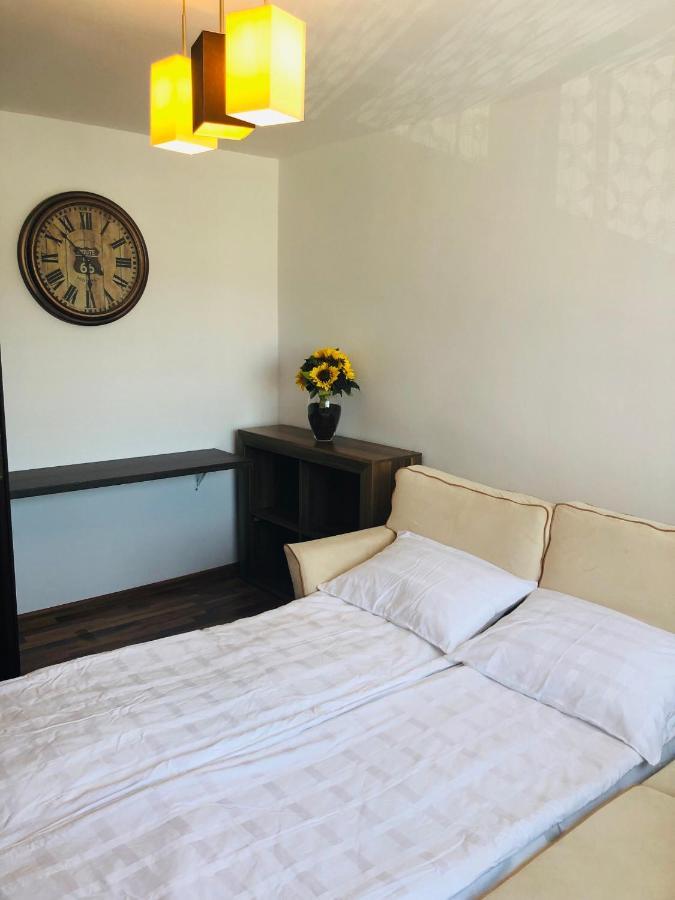 Little Cute Homey Apartman Satu Mare Exterior photo